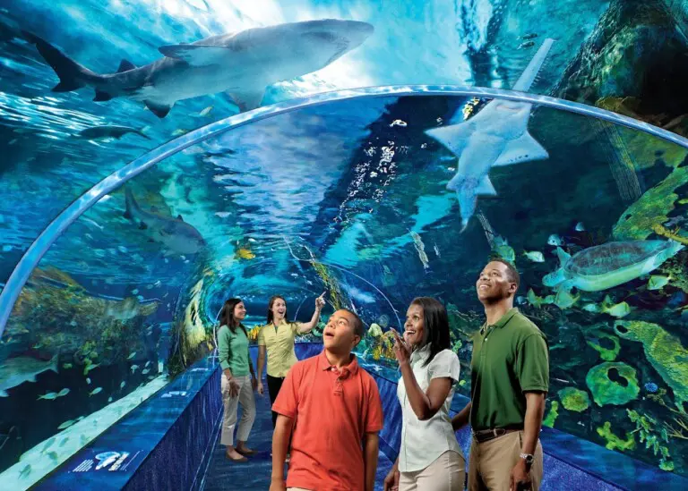 Ripley's Aquarium of the Smokies