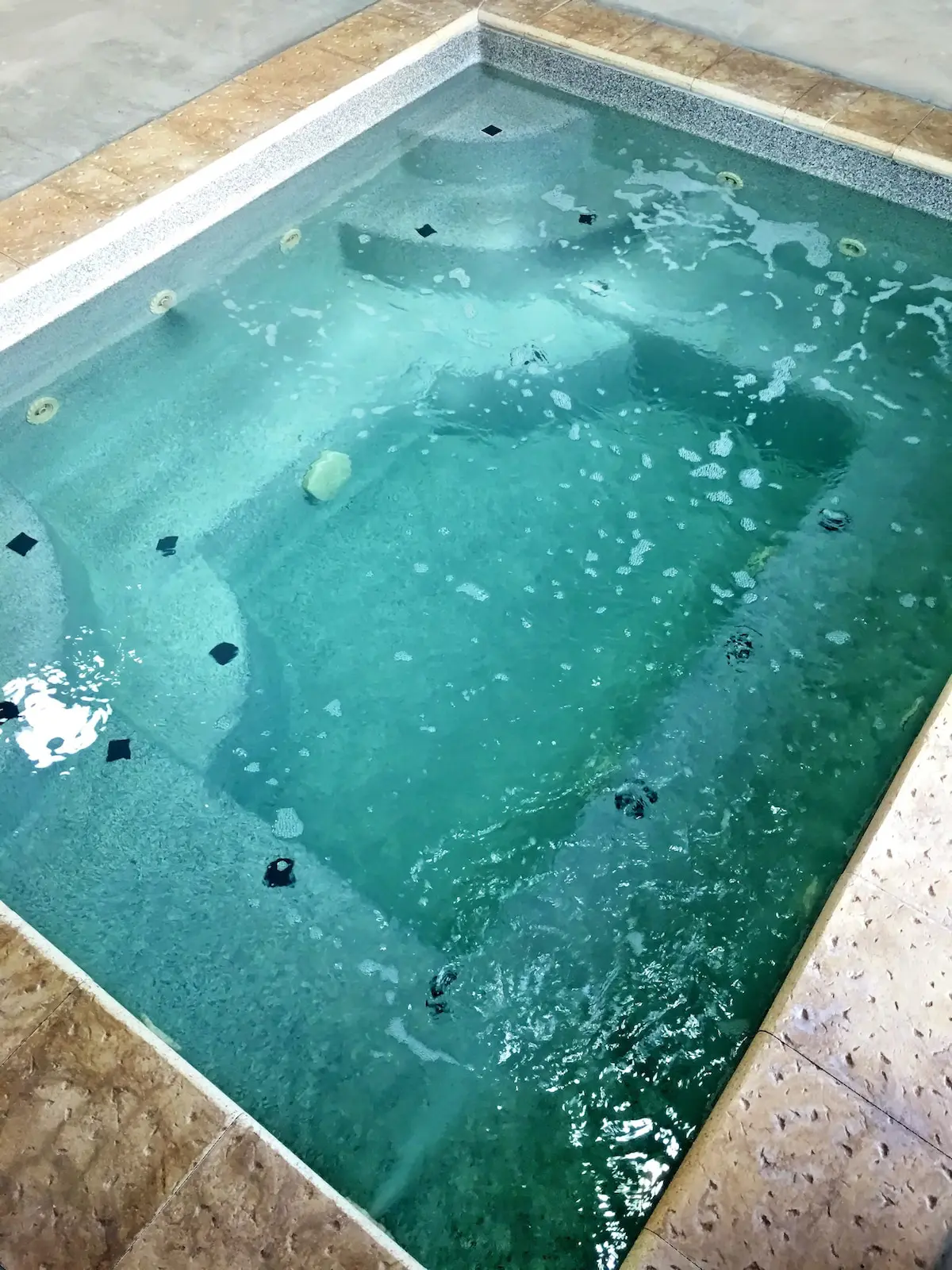 original 613622965586942425 1468922218.jpg