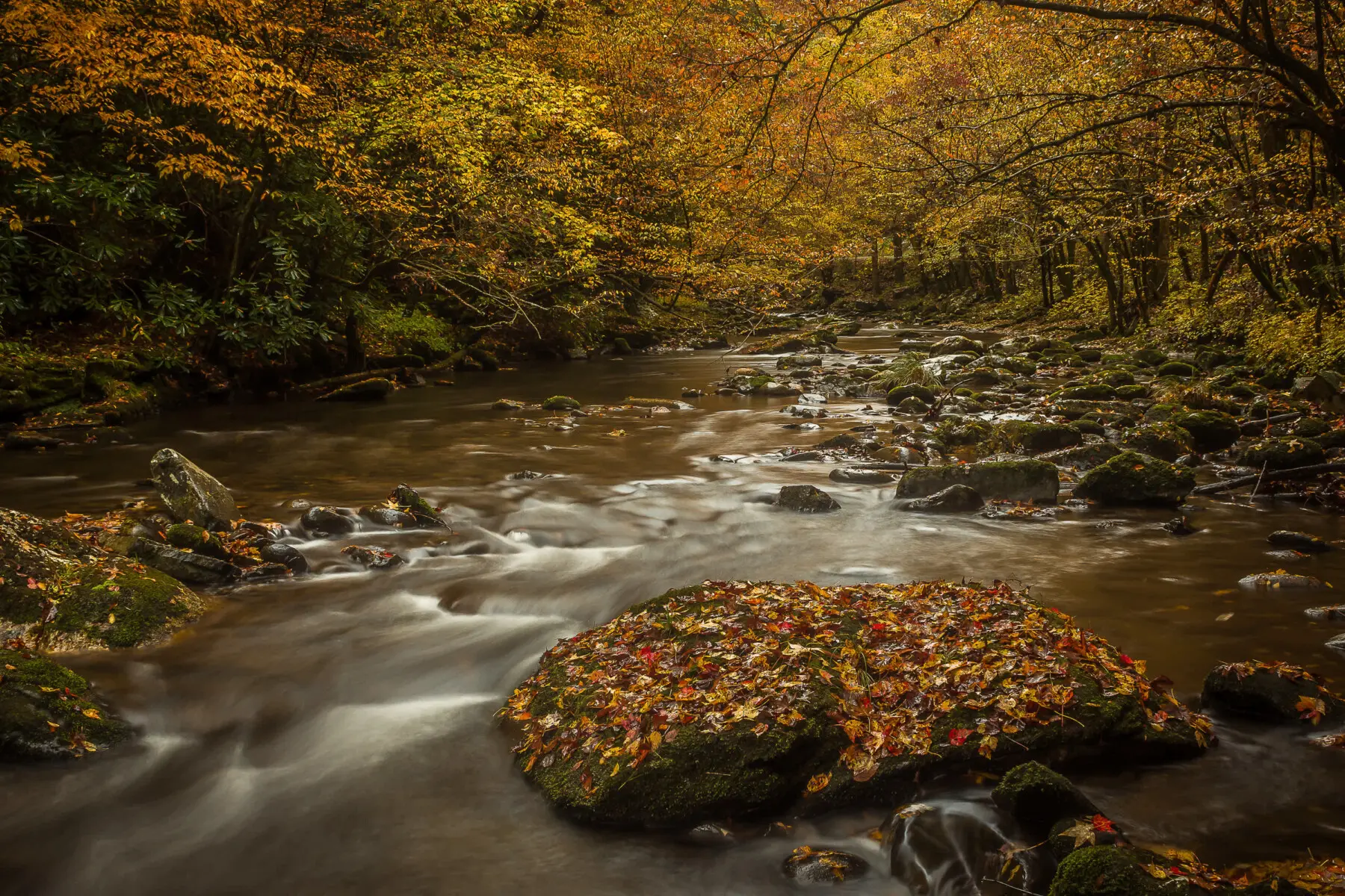 nytduxc03qopaiu1qon9.jpg